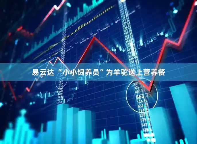 易云达 “小小饲养员”为羊驼送上营养餐
